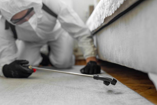 Professional Cockroach Control technician working in Montague, MI